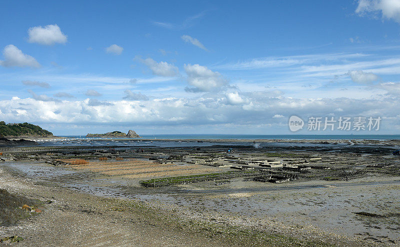 在Cancale - Brittany - France的牡蛎养殖